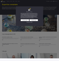 Vignette screenshot EY - France