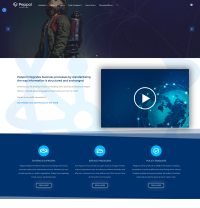 Vignette screenshot PEPPOL