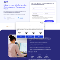Vignette screenshot VOXEL